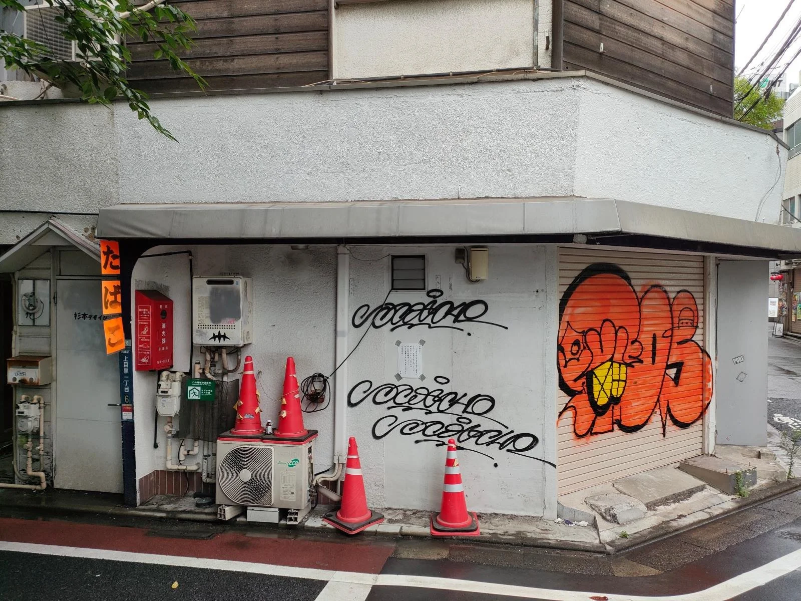 Graffiti in Japan - Creativity, Cultural Tensions, and Legal